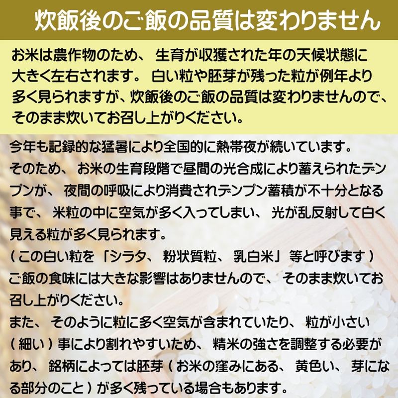 令和6年産 無洗米 新潟県産コシヒカリ 5kg お米マイスター厳選 HACCP認定工場 SI