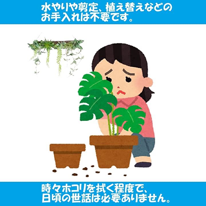 フェイクグリーン 壁掛け 観葉植物 ウォールグリーン エアープランツ