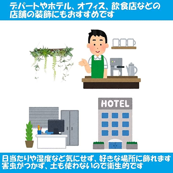 フェイクグリーン 壁掛け 観葉植物 ウォールグリーン エアープランツ フェイクグリーン 壁掛け 観葉植物 ウォールグリーン エアープランツ