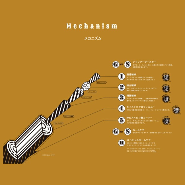 4個セット ビューティーエクスペリエンス ディープレイヤー 5R 470g (Moltobe 4個セット ビューティーエクスペリエンス ディープレイヤー 5R 470g (Moltobe