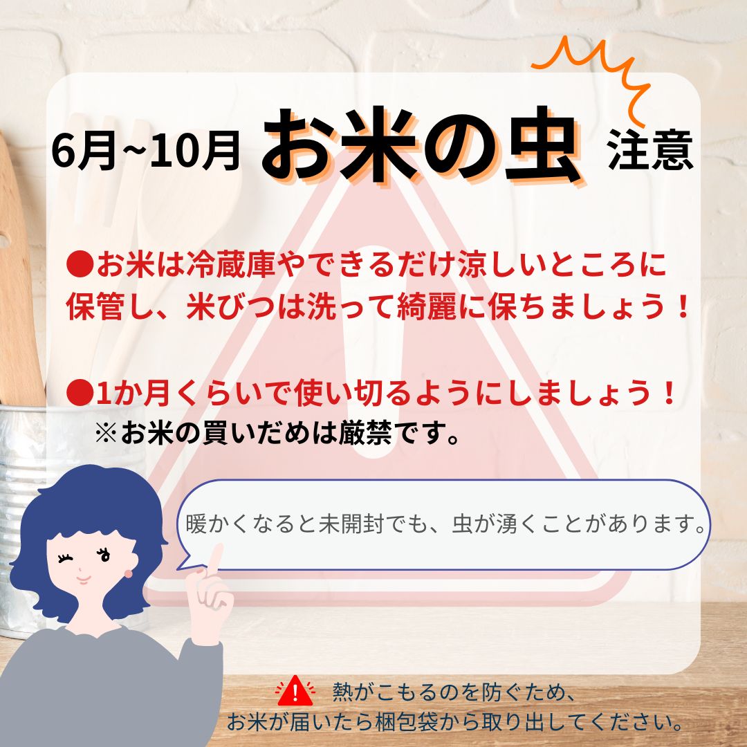 【数量限定】国内産無洗米　美膳20kg　(10kg2袋)　白米