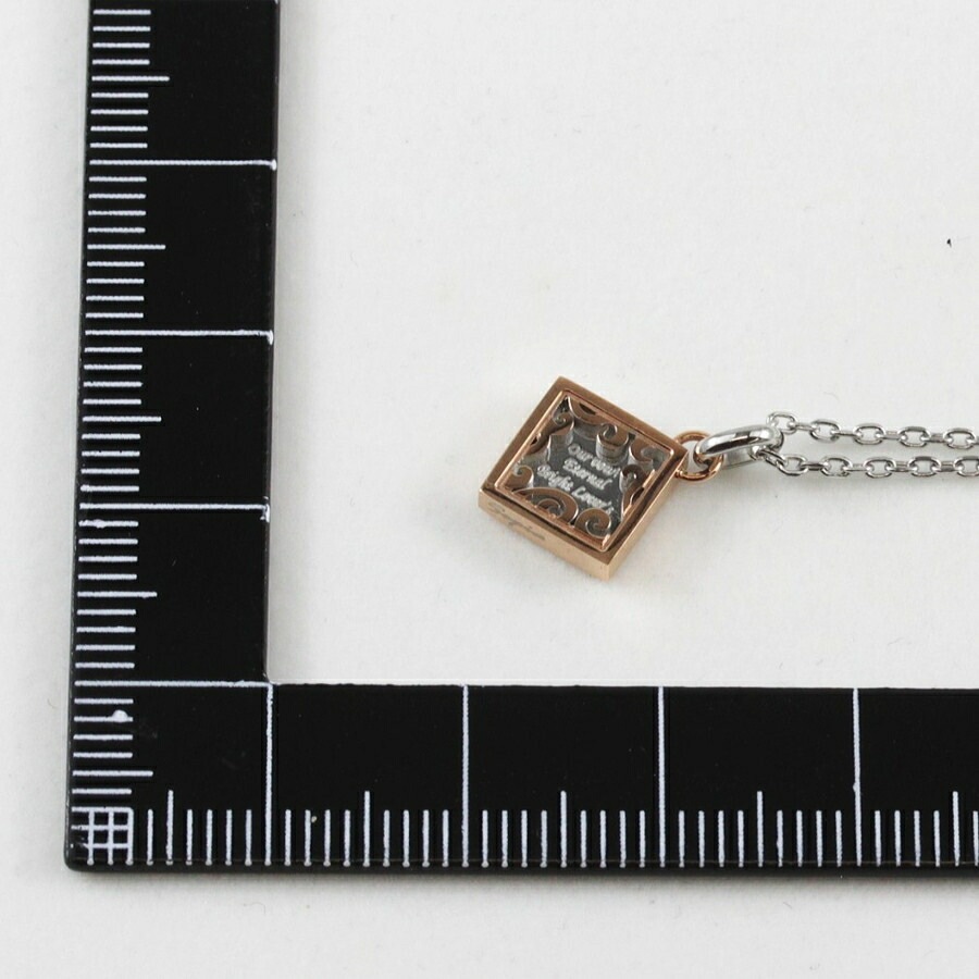 【再入荷なし 即納】ピュア メッセージ セピア メンズ レディース ステンレス ペンダント ネックレス PURE MESSAGE SEPIA PMS-507 金属アレルギー対応 ノンアレルギー 【再入荷なし 即納】ピュア メッセージ セピア メンズ レディース ステンレス ペンダント ネックレス PURE MESSAGE SEPIA PMS-507 金属アレルギー対応 ノンアレルギー