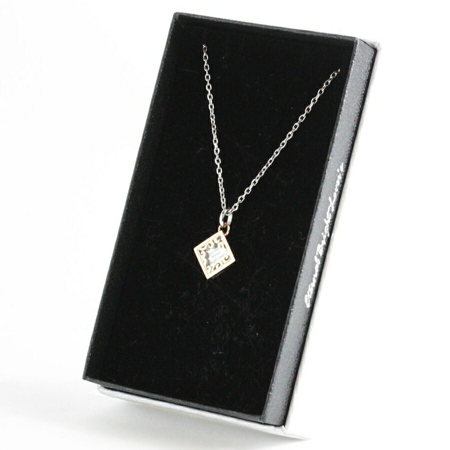 【再入荷なし 即納】ピュア メッセージ セピア メンズ レディース ステンレス ペンダント ネックレス PURE MESSAGE SEPIA PMS-507 金属アレルギー対応 ノンアレルギー 【再入荷なし 即納】ピュア メッセージ セピア メンズ レディース ステンレス ペンダント ネックレス PURE MESSAGE SEPIA PMS-507 金属アレルギー対応 ノンアレルギー