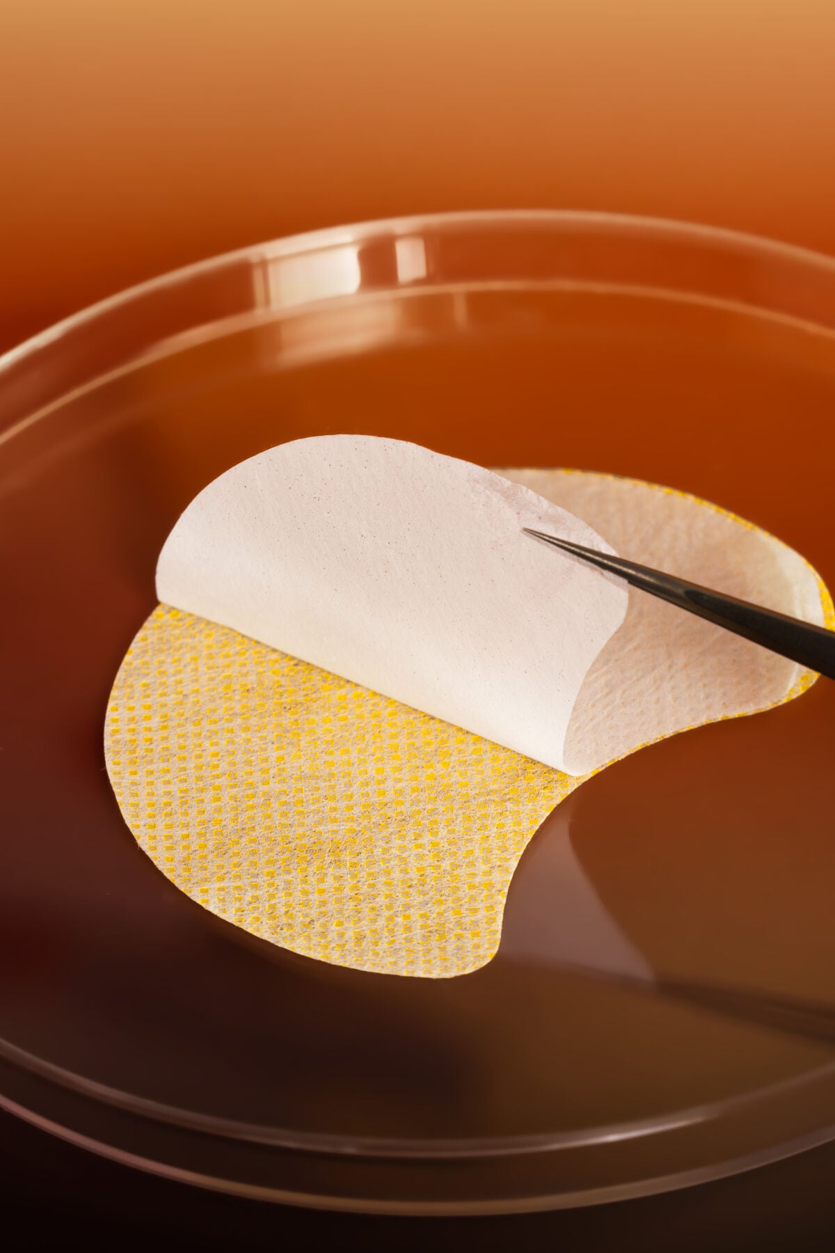 [25SS/New]ビタ50,000 トーニングパッチ 4枚+4枚(+1枚贈呈) #肌に溶ける99%ビタミン