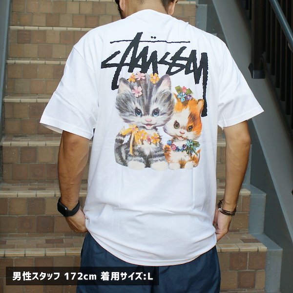 Qoo10] ステューシー ステューシー STUSSY KITTEN