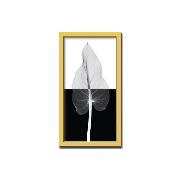 ファブリックパネル アートフレーム 飾り おしゃれ 花 壁掛け ウォールデコレーション 幻想的 植物 レントゲン インパクト CallaLeafII 350x650mm ファブリックパネル アートフレーム 飾り おしゃれ 花 壁掛け ウォールデコレーション 幻想的 植物 レントゲン インパクト CallaLeafII 350x650mm