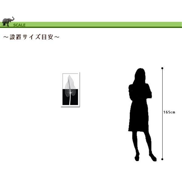 ファブリックパネル アートフレーム 飾り おしゃれ 花 壁掛け ウォールデコレーション 幻想的 植物 レントゲン インパクト CallaLeafII 350x650mm ファブリックパネル アートフレーム 飾り おしゃれ 花 壁掛け ウォールデコレーション 幻想的 植物 レントゲン インパクト CallaLeafII 350x650mm