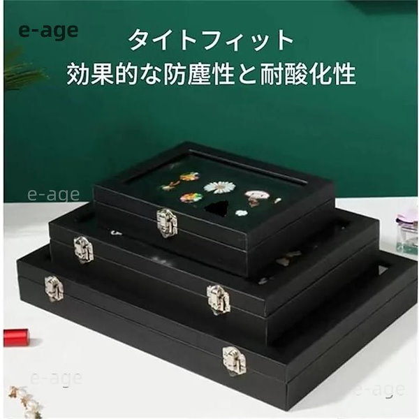 Aimerピンバッジ全種類＋ケース Aimerピンバッジ全種類＋ケース Aimer 10th Anniversary Final