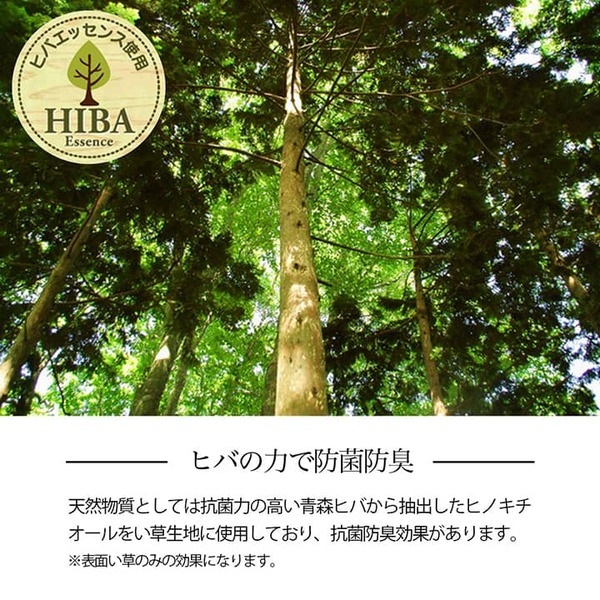 い草ラグ 花ござ 格子柄 裏不織布滑り止め 抗菌防臭 消臭 江戸間4.5畳 ウッディブラウン い草ラグ 花ござ 格子柄 裏不織布滑り止め 抗菌防臭 消臭 江戸間4.5畳 ウッディブラウン