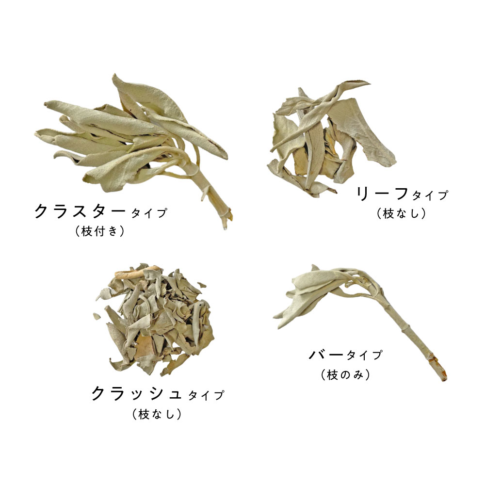 浄化用 ホワイトセージ カリフォルニア産 直輸入 無農薬 500g(100g5 セット )お試し 枝付き クラスター ＆ リーフ ＆ クラッシュ MIX 浄化セット お清め セレモニー 儀式 癒し ピ