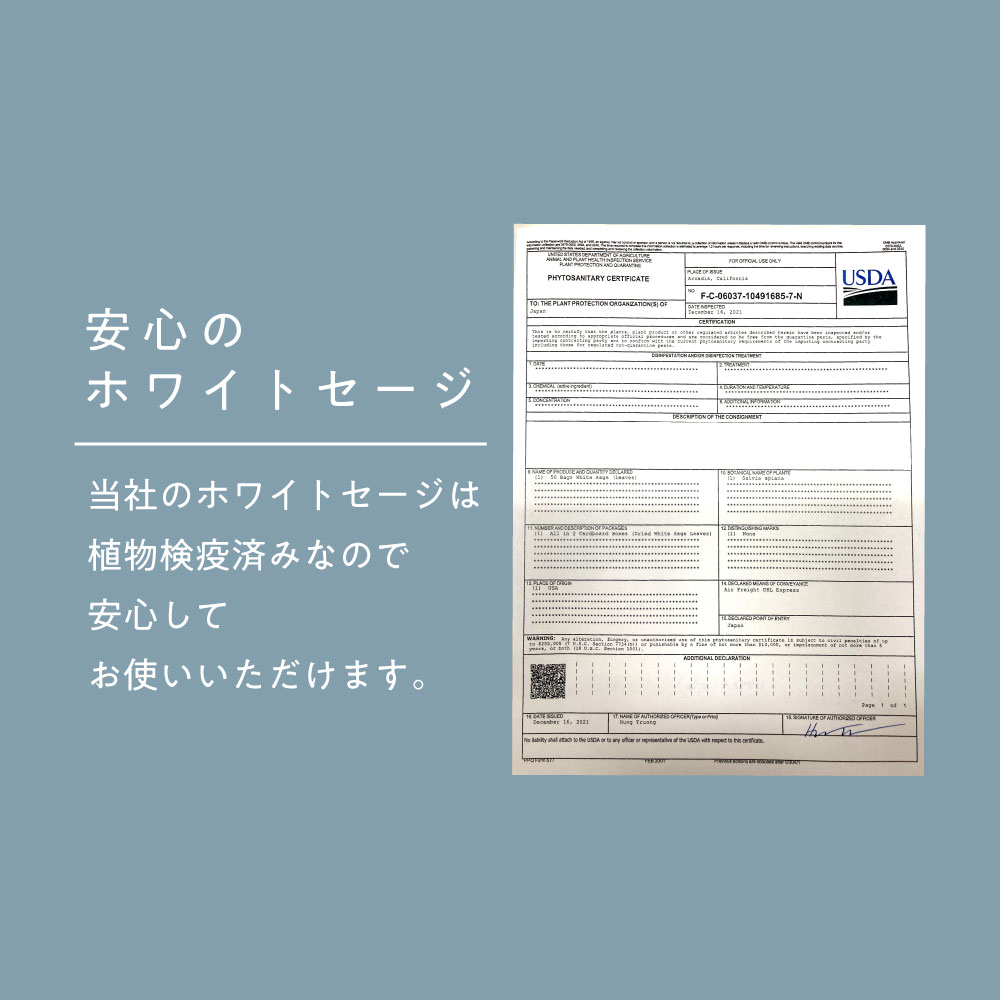 浄化用 ホワイトセージ カリフォルニア産 直輸入 無農薬 500g(100g5 セット )お試し 枝付き クラスター ＆ リーフ ＆ クラッシュ MIX 浄化セット お清め セレモニー 儀式 癒し ピ