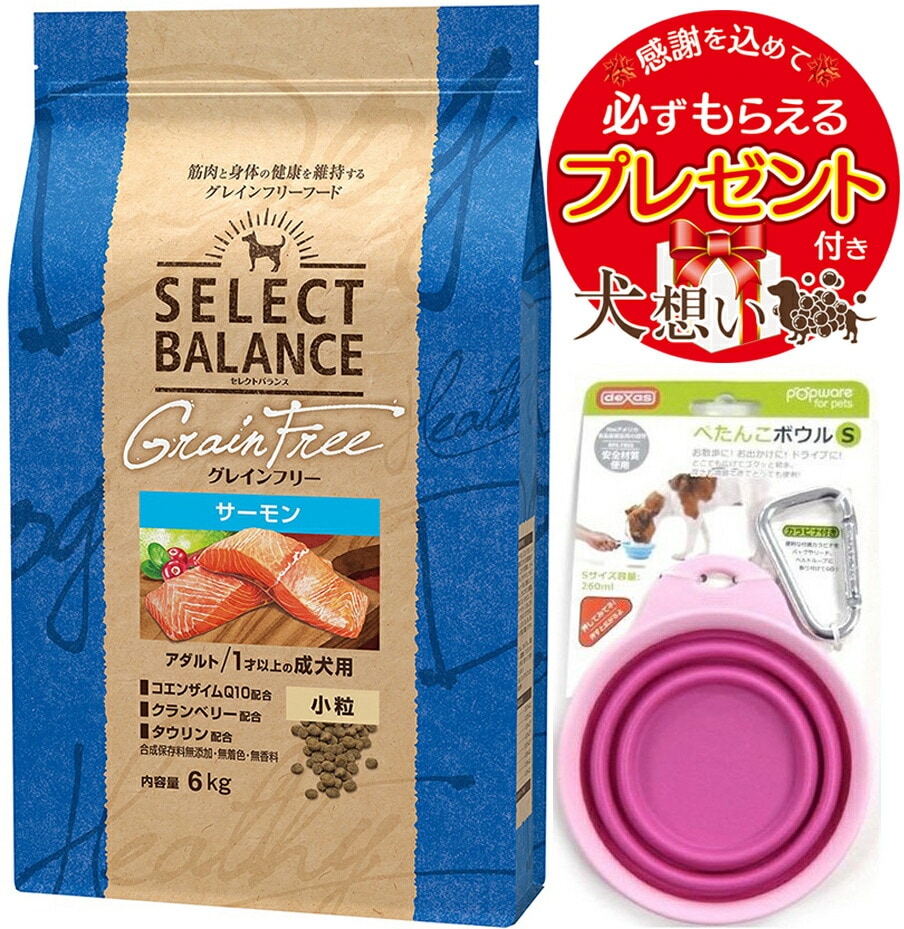人気定番低価 (まとめ) クルーズ コインアップ パープルNC-1500 1個 〔×10セット〕 リコメン堂 通販 PayPayモール 