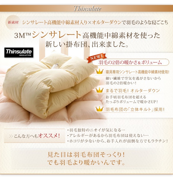9色から選べる!シンサレート入り掛布団 ダブル ワインレッド baskapel.nl