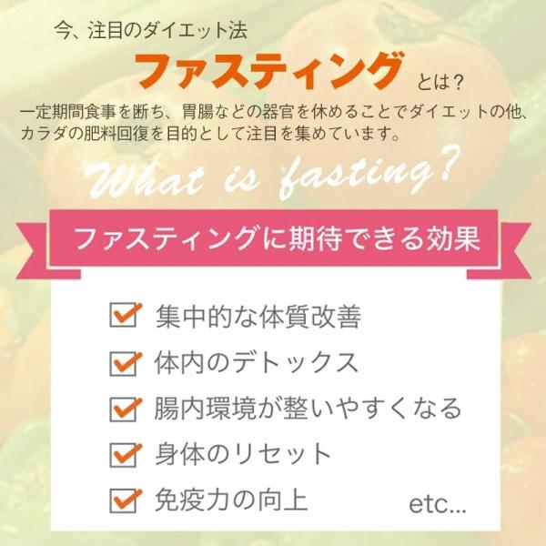 NEW ベジエ ナチュラル ファスベジ 3days 7食入３箱セット プチファスティング ファスティング 痩せる ダイエット 健康食品 プチ断食 短期 スープ