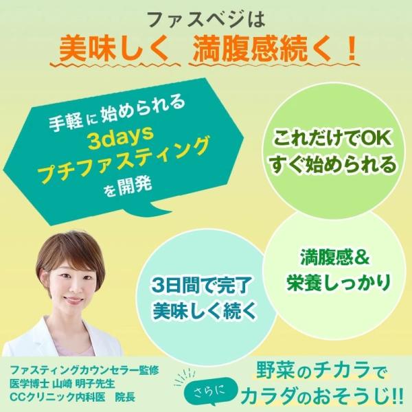 NEW ベジエ ナチュラル ファスベジ 3days 7食入３箱セット プチファスティング ファスティング 痩せる ダイエット 健康食品 プチ断食 短期 スープ
