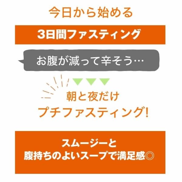 NEW ベジエ ナチュラル ファスベジ 3days 7食入３箱セット プチファスティング ファスティング 痩せる ダイエット 健康食品 プチ断食 短期 スープ