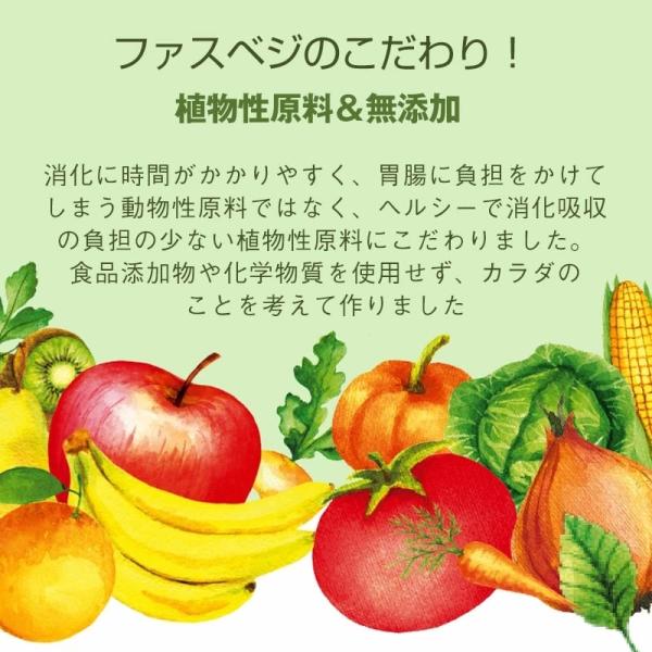 NEW ベジエ ナチュラル ファスベジ 3days 7食入３箱セット プチファスティング ファスティング 痩せる ダイエット 健康食品 プチ断食 短期 スープ