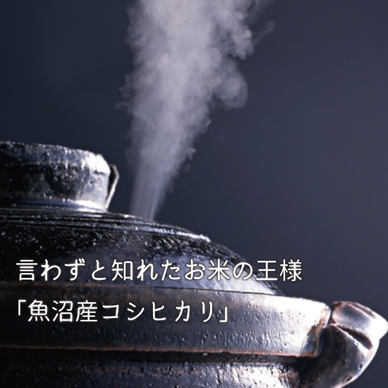 新潟ケンベイ 【精米】魚沼産コシヒカリ 5kg 令和6年産 新潟ケンベイ 【精米】魚沼産コシヒカリ 5kg 令和6年産
