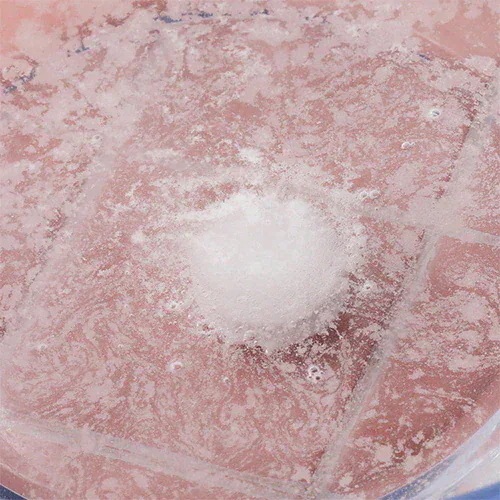 【重炭酸入浴剤セット】 薬用 SILK TAB 8袋 + 【粒状タイプ】死海の塩 Dead Sea Salt 塩化マグネシウム 3.5ｋｇx3袋 保湿 浴用化粧品 フレーク TK3