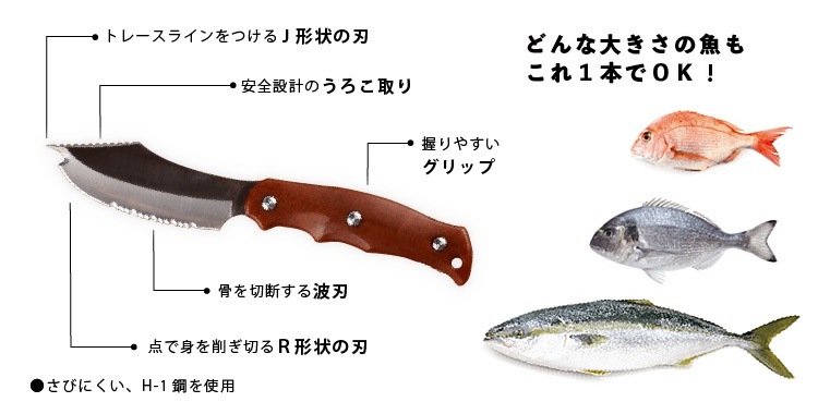 SAKAKNIFE　サカナイフ＋専用シャープナーセット　サカナイフ