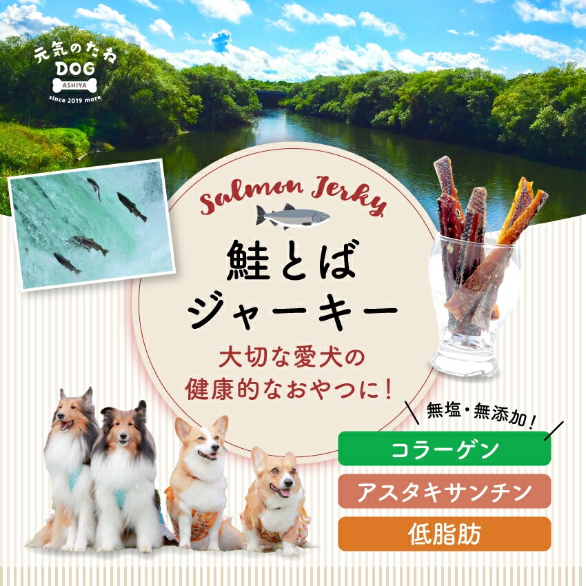 国産 無添加 犬 猫 おやつ 魚 ジャーキー 鮭 鮭とば 500g dog サーモン プレゼント ドックフード ドッグフード 犬用 猫用 ペット