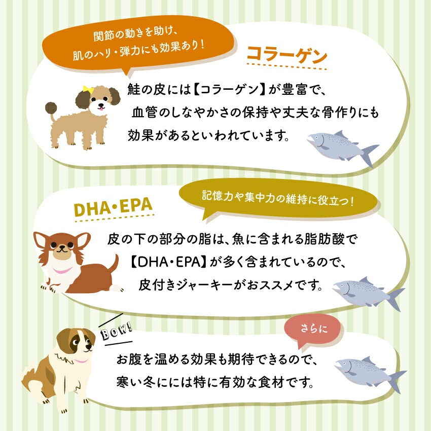 国産 無添加 犬 猫 おやつ 魚 ジャーキー 鮭 鮭とば 500g dog サーモン プレゼント ドックフード ドッグフード 犬用 猫用 ペット