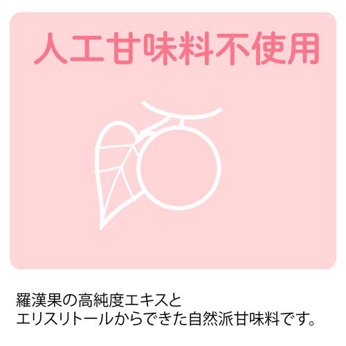 Lakanto ラカントS 顆粒 1kg