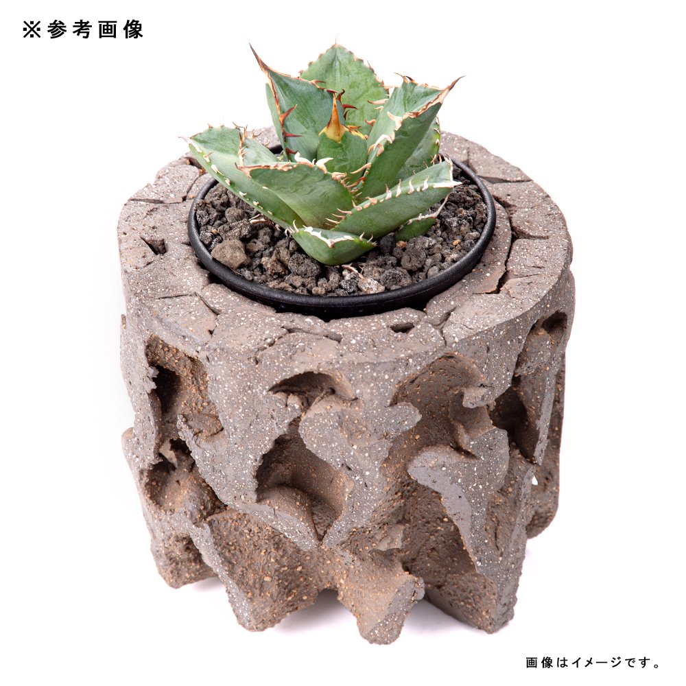 鉢 信楽焼 COM WORK STUDIO作 WBLL-3 CRC90―03―05―10―00 鉢 信楽焼 COM WORK STUDIO作 WBLL-3 CRC90―03―05―10―00