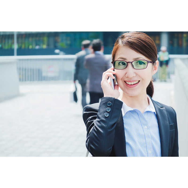 エッシェンバッハ　近赤外線カットサングラスミルフィールパープル　2999-23