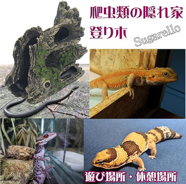 特大流木　天然　流木　上り木　アクアリウム　テラリウム　昆虫類　爬虫類　鑑賞 特大流木 天然 流木 上り木 アクアリウム テラリウム 昆虫類