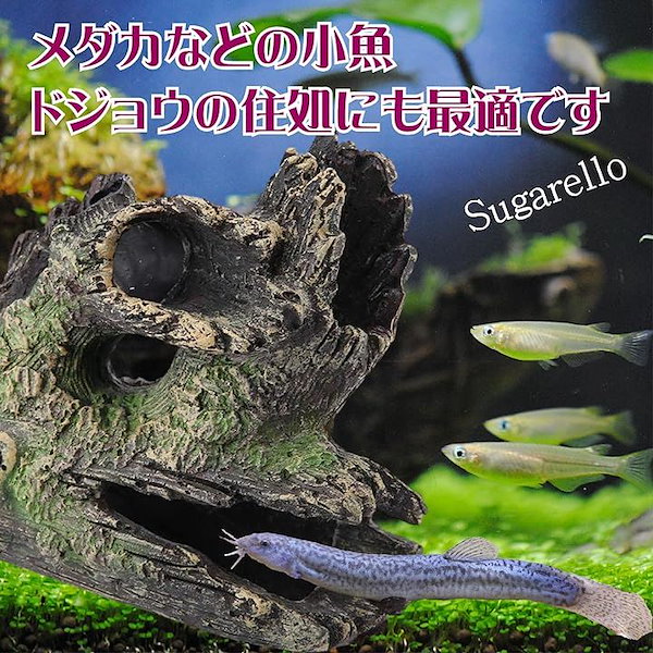 サバンナウッド　水槽インテリア　トカゲ　陸ガメ　爬虫類インテリアに　流木　古木 サバンナウッド 水槽インテリア トカゲ 陸ガメ 爬虫類インテリアに