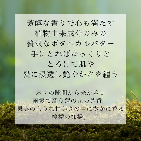 Qoo10] Botanical Butter ボタニ