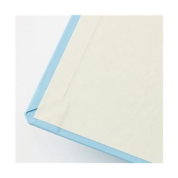 (まとめ)TANOSEE 貼り表紙クリアファイルA4タテ 10ポケット フロスティホワイト 1セット(10冊)5セット (まとめ)TANOSEE 貼り表紙クリアファイルA4タテ 10ポケット フロスティホワイト 1セット(10冊)5セット