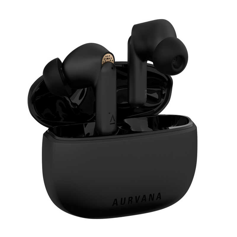 クリエイティブメディア　完全ワイヤレスイヤホン AURVANA ACE ［ワイヤレス(左右分離) /Bluetooth /ノイズキャンセリング対応］ ブラック＆カッパー　HS-AVACE-BKA