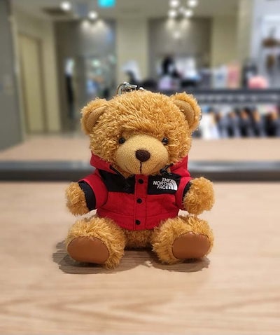 Qoo10] ザノースフェイス 【公式】韓国限定 THE NORTH F : おもちゃ・知育