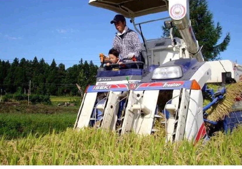 新潟県産 ブレンド米 無洗米 30kg 令和６年産 新潟産 無洗米３０キロ 米 30kg 高級米 おいしいお米 美味しいお米 産地直送 農家の米 コシヒカリの郷小出農場