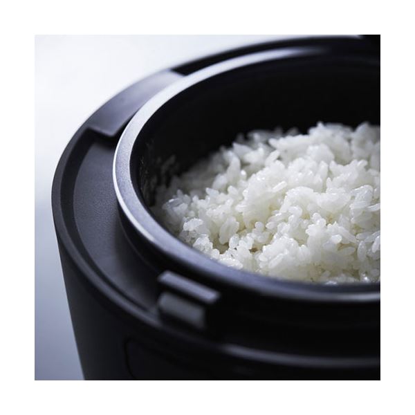 A-Stage マルチライスポット RC-A30BK