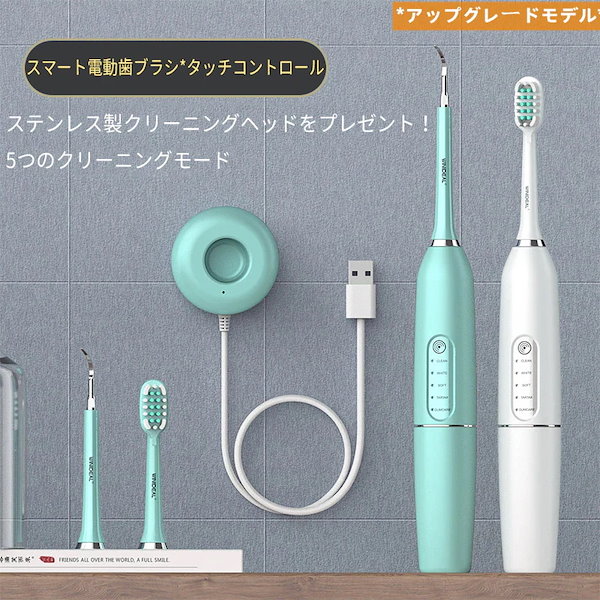 お値段交渉アリ！！歯科衛生士 スケーラー 衛生士 教材  歯 歯ブラシ お値段交渉アリ！！歯科衛生士 スケーラー 衛生士 教材 歯