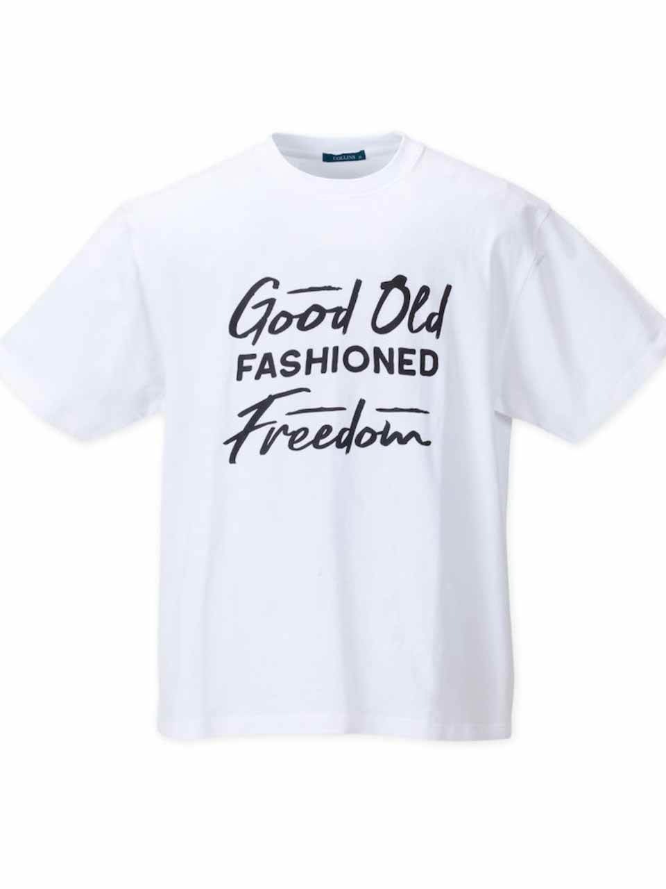 半袖パーカー 大きいサイズ メンズ プリントTシャツ メッシュ サマーパーカ 2枚組 COLLINS C060417-08