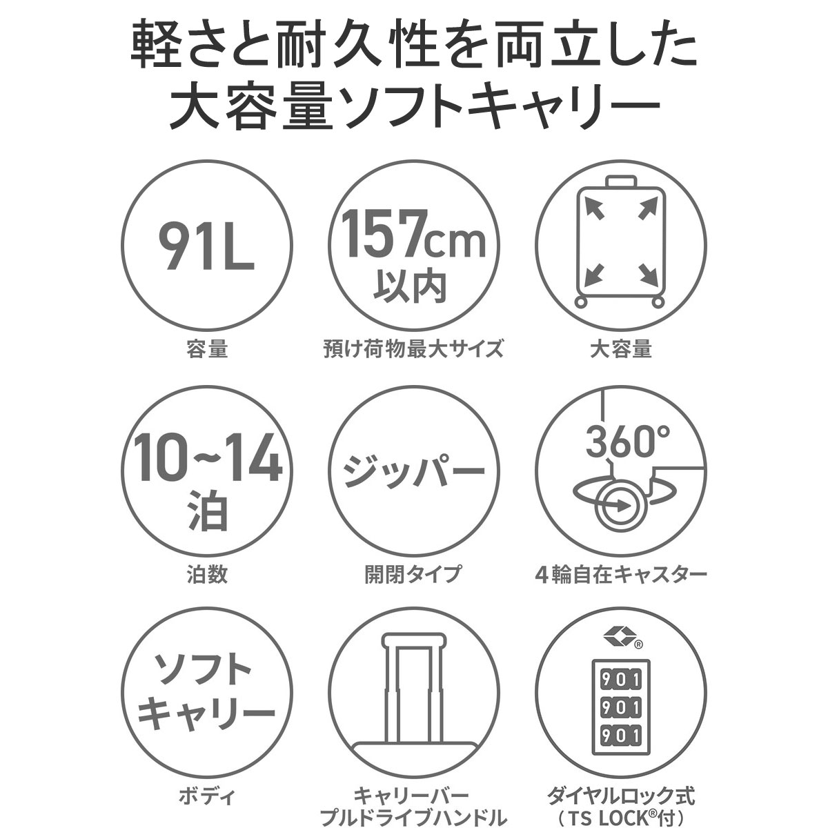 10年保証 スーツケース Lサイズ キャリーケース 軽量 メンズ キャリーバッグ ビジネス ソフト 4輪 TSロック 長期 10-14泊 91L ロックペイントSS 35703