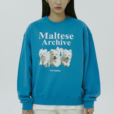 SEVENTEEN - ♡ waikei ワイケイ SEVENTEEN着用 ニット 正規品 ♡ seventeen 着用 Wai Kei(ワイケイ) トップス(レディース) - 海外