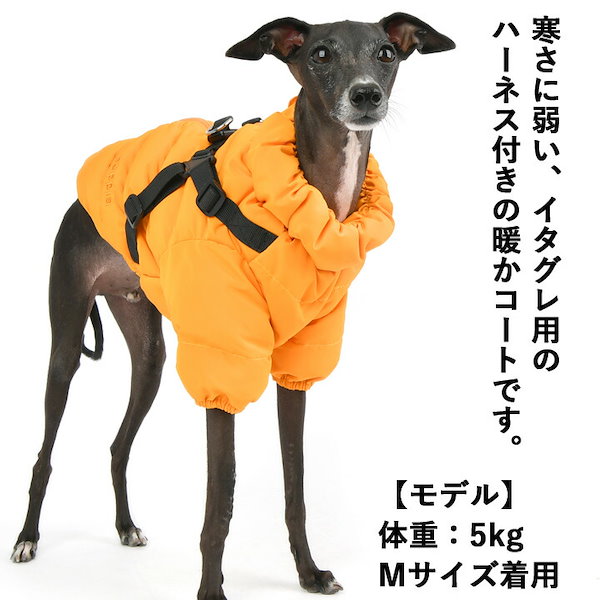はっぴーDOG イタグレ 冬服 犬 服 犬服 いぬ 犬の服 イタリアン