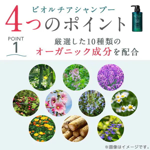 Qoo10] ビオルチア 【Qoo10 限定セット】ビオルチア シ