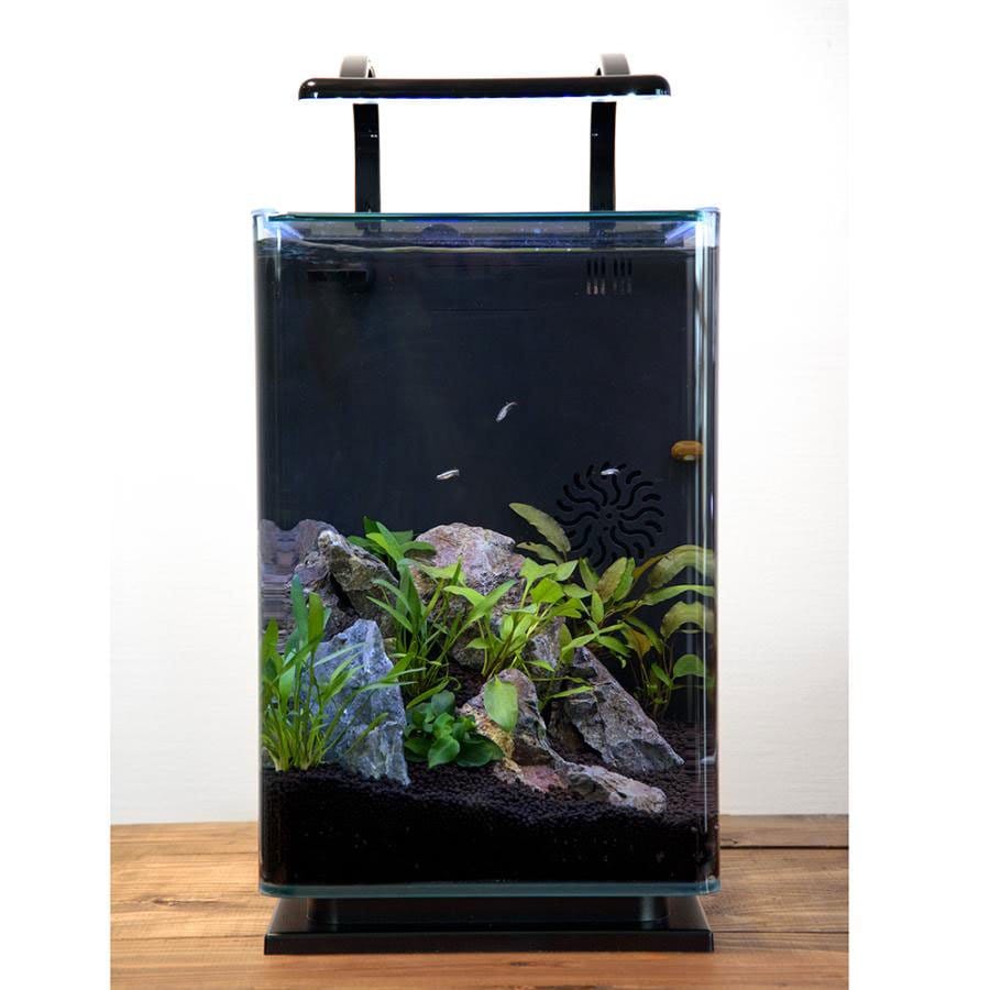 テトラ (Tetra) ガラス リビングキューブ 20 (容量 約20L