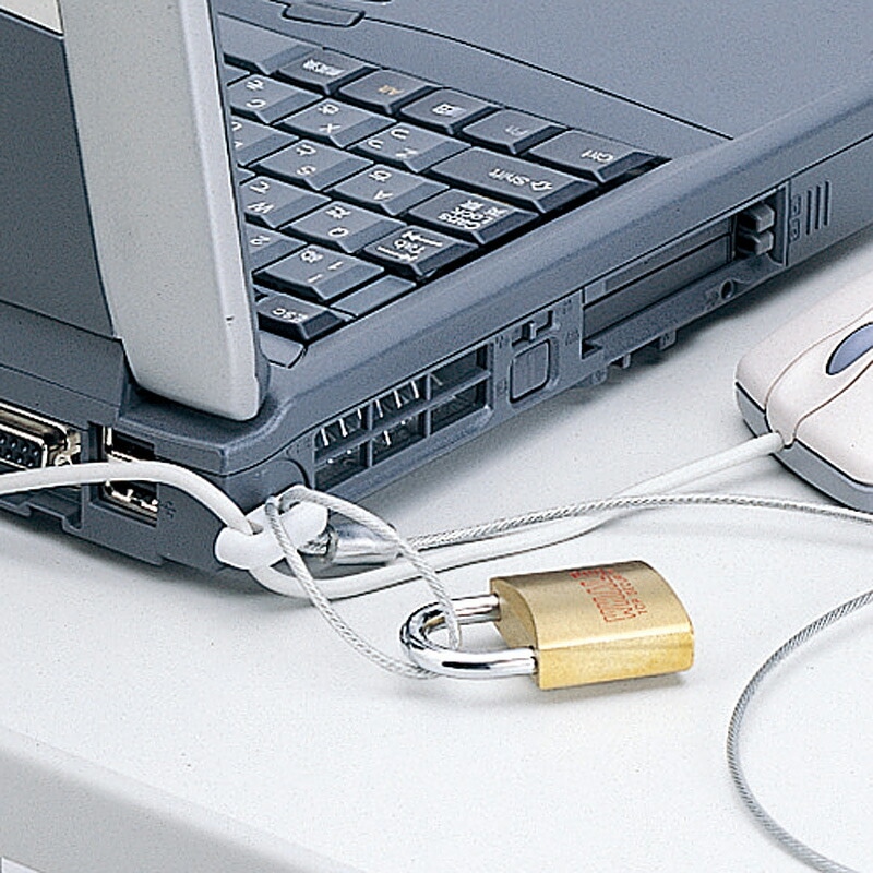 （まとめ買い）パソコン&マウスセキュリティ SL-21K [x3]