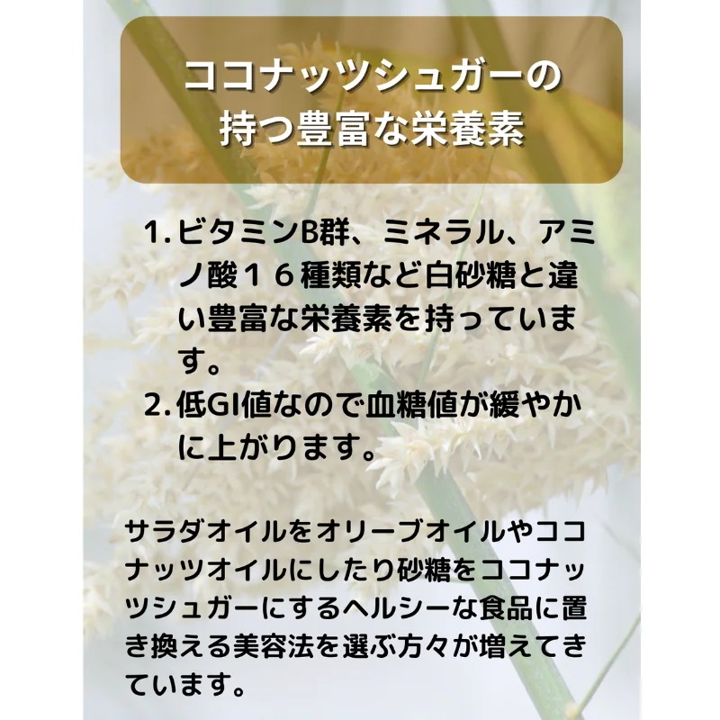 ココナッツシュガー ホワイト 500g x 5個　天然甘味料 無着色 無漂白 無添加 無香料 グルテンフリー　USDA EURO REAF 認証