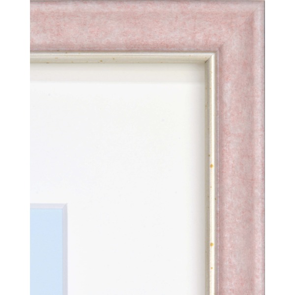 [軽量水彩額]色あせを防ぐUVカットアクリル/マット付き 水彩額F4号 ピンク