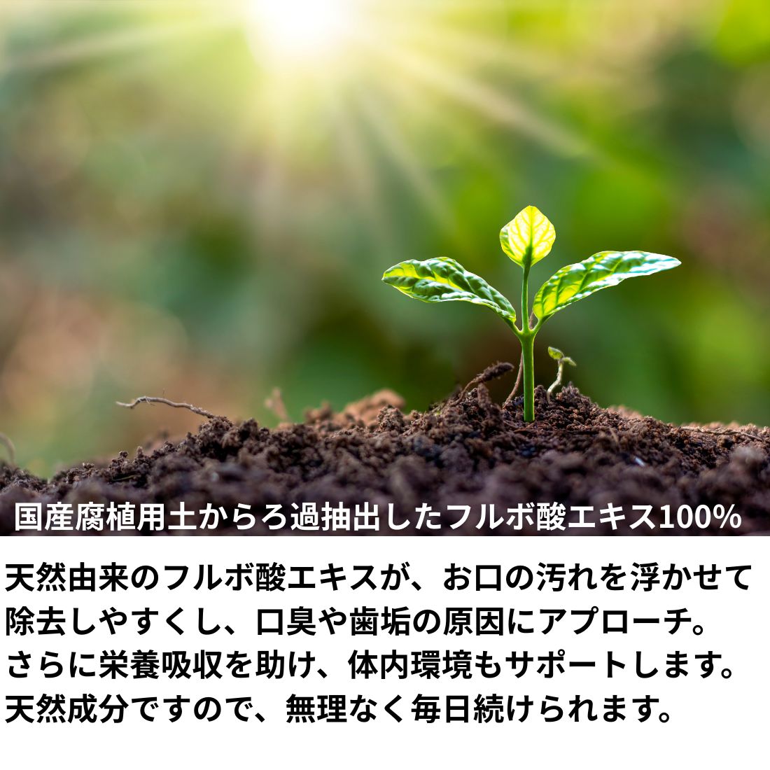【10本セット】ビバテック シグワン ハミガキサプリ R 20mL 【10本セット】ビバテック シグワン ハミガキサプリ R 20mL