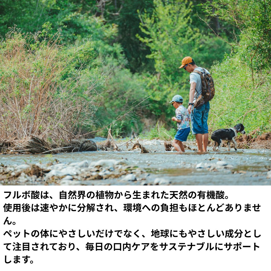 【10本セット】ビバテック シグワン ハミガキサプリ R 20mL 【10本セット】ビバテック シグワン ハミガキサプリ R 20mL