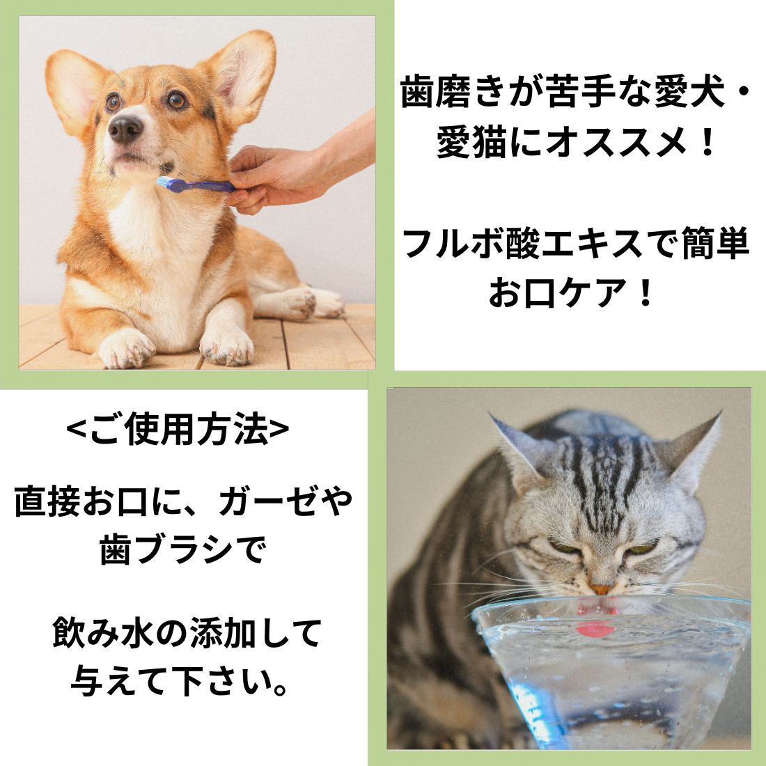 【10本セット】ビバテック シグワン ハミガキサプリ R 20mL 【10本セット】ビバテック シグワン ハミガキサプリ R 20mL